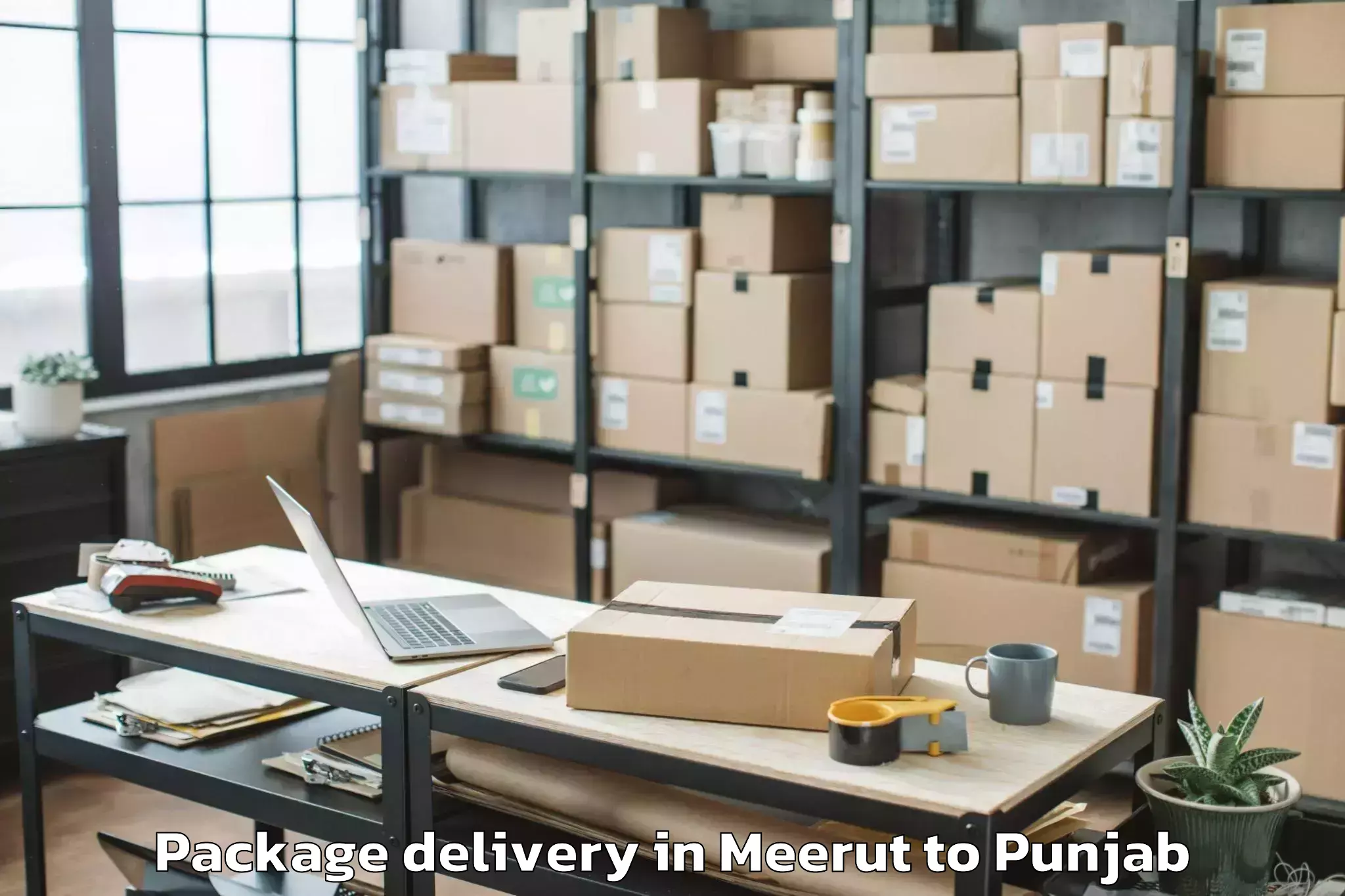 Trusted Meerut to Adampur Jalandhar Package Delivery